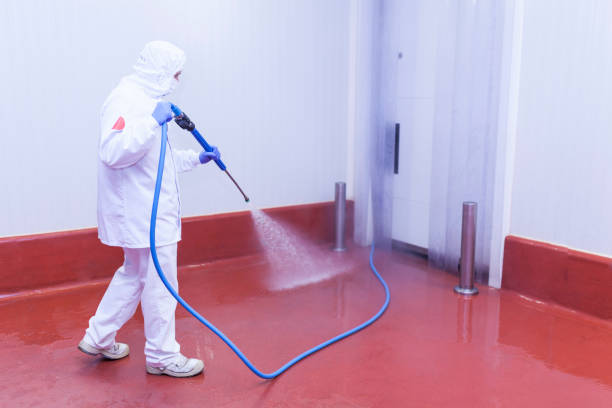 Best Roof Washing  in Mena, AR